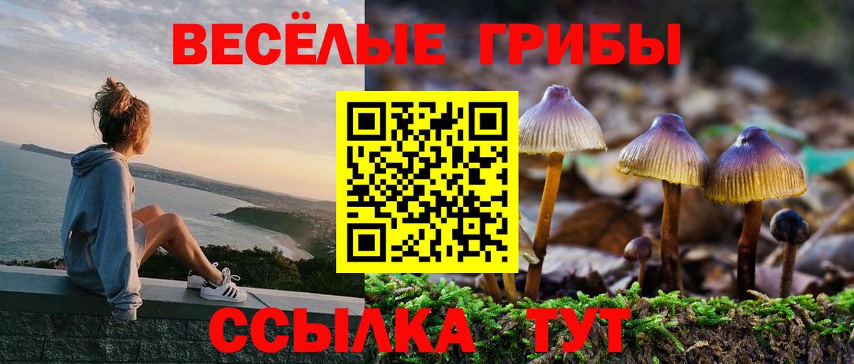 Галлюциногенные грибы Psilocybe  Псилоцибиновые грибы Psilocybine cubensis  даркнет сайт  Якутск  Вход с VPN 